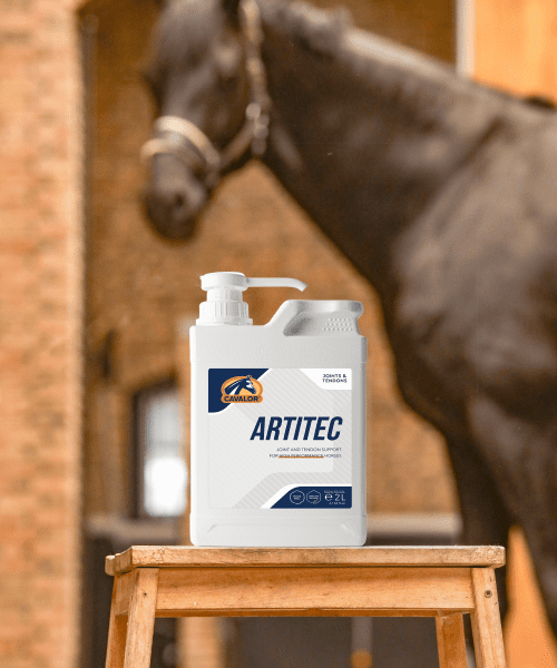 Cavalor ArtiTec Equine Joint Supplement - Cavalor Direct