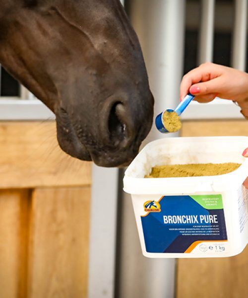 Cavalor Bronchix Pure - Cavalor Direct