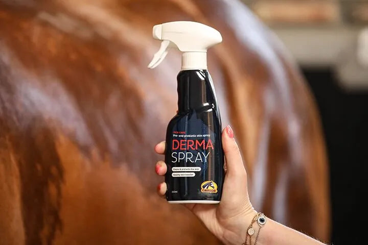 Cavalor Derma Spray - Cavalor Direct