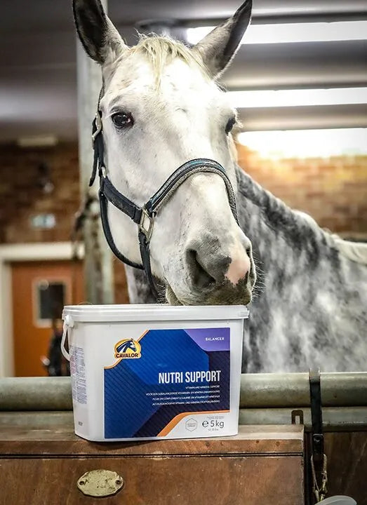 Cavalor Nutri Support - Cavalor Direct